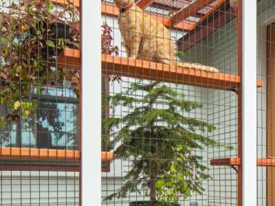 Home-Remodel-Catio-East