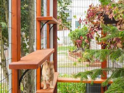 Home-Remodel-Catio-North