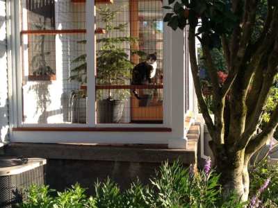 Home-Remodel-Catio-South